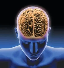 ginseng pour la mémoire et les capacités cognitives