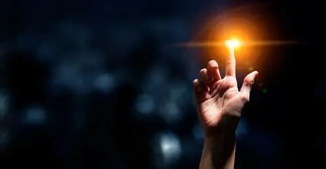 propriété du ginseng Tigre de Mandchourie